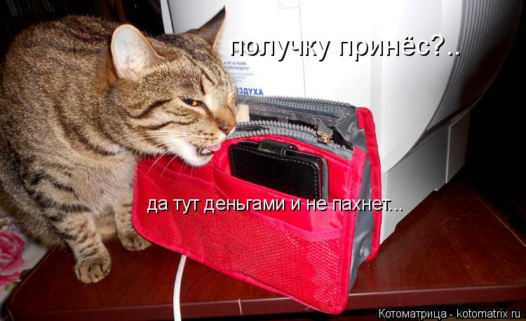 Котоматрица: получку принёс?.. да тут деньгами и не пахнет...