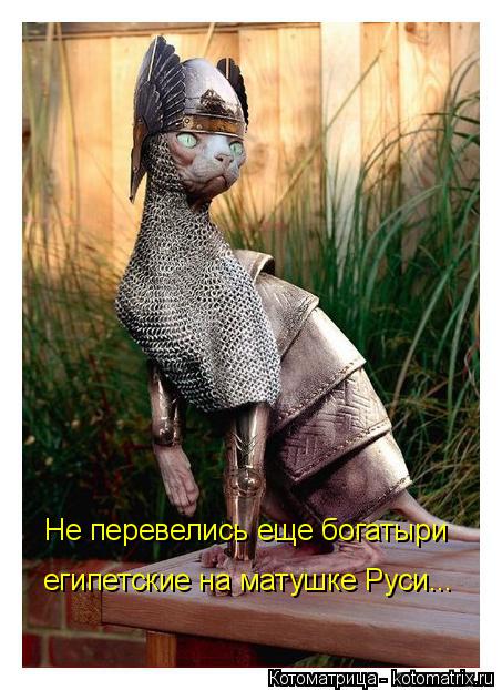 Котоматрица: Не перевелись еще богатыри египетские на матушке Руси...