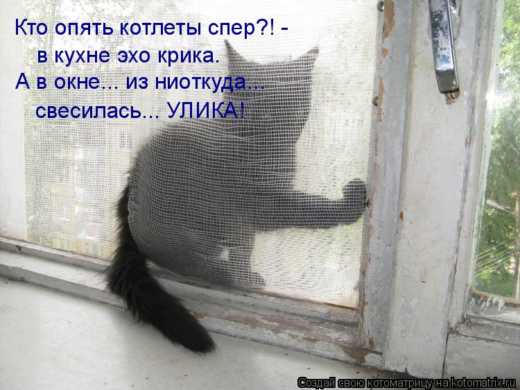 Котоматрица: Кто опять котлеты спер?! -  в кухне эхо крика. А в окне... из ниоткуда... свесилась... УЛИКА!