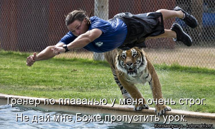 Котоматрица: Тренер по плаванью у меня очень строг. Не дай мне,Боже,пропустить урок.