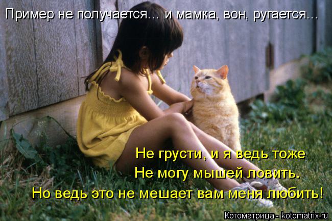 Пример не получается… и мамка, вон, ругается… Не грусти, и я ведь тоже Не могу мышей ловить. Но ведь... Котоматрица: Пример не получается… и мамка, вон, ругается… Не грусти, и я ведь тоже Не могу мышей ловить. Но ведь это не мешает вам меня любить!