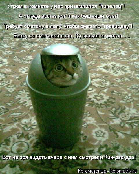 Котоматрица: А оттуда вылез кот и как бешеный орет!  Банку со сметаной взял, Ку сказал и умотал..... Утром в комнате у нас приземлился "пипелац"! Требует смет