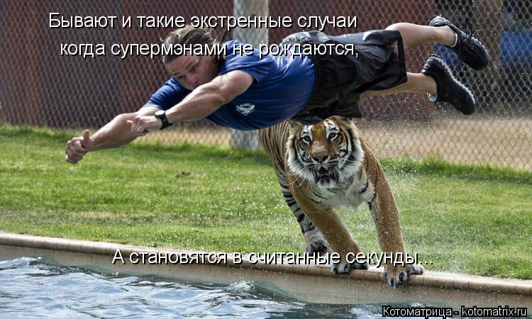 Бывают и такие экстренные случаи когда супермэнами не рождаются, А становятся в считанные секунды...... Котоматрица: Бывают и такие экстренные случаи когда супермэнами не рождаются, А становятся в считанные секунды...