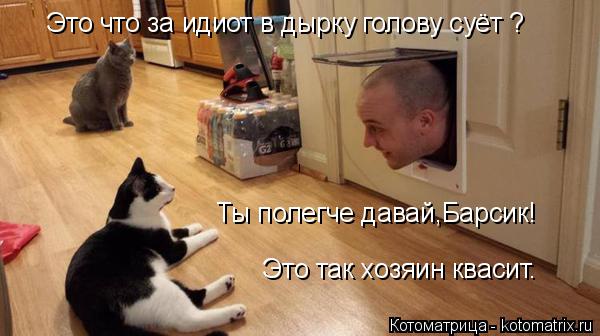Котоматрица: Это что за идиот в дырку голову суёт ? Ты полегче давай,Барсик! Это так хозяин квасит.