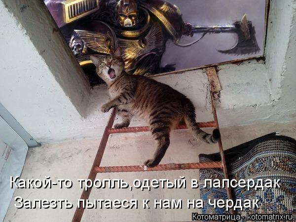 Котоматрица: Какой-то тролль,одетый в лапсердак  Залезть пытаеся к нам на чердак
