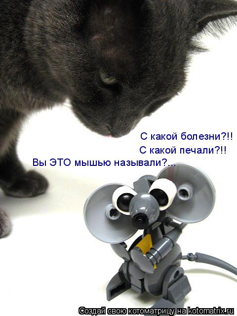 С какой болезни?!! С какой печали?!! Вы ЭТО мышью называли?...... Котоматрица: С какой болезни?!! С какой печали?!! Вы ЭТО мышью называли?...