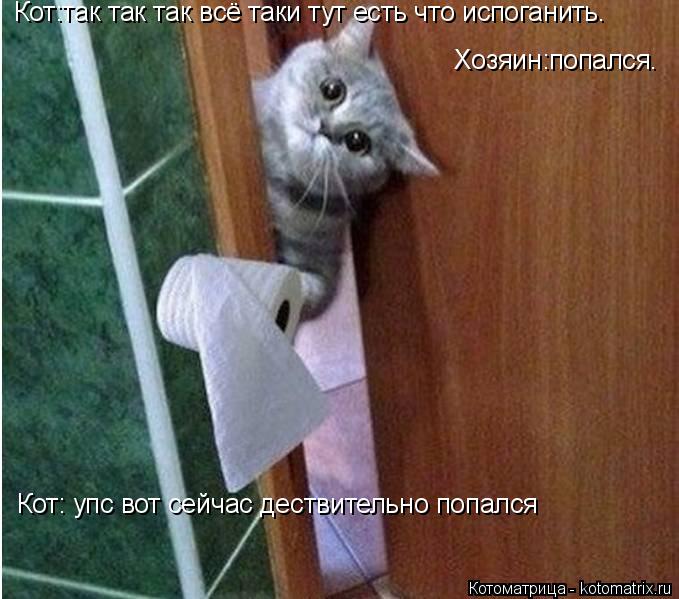 Котоматрица: Кот:так так так всё таки тут есть что испоганить. Хозяин:попался. Кот: упс вот сейчас дествительно попался