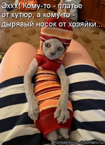 Котоматрица: Эххх! Кому-то - платье  от кутюр, а кому-то - дырявый носок от хозяйки...
