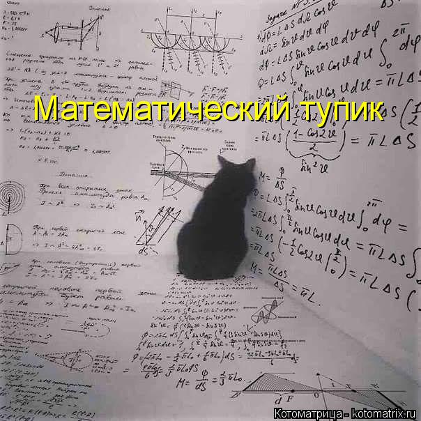 Котоматрица: Математический тупик