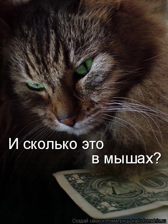 Котоматрица: И сколько это  в мышах?