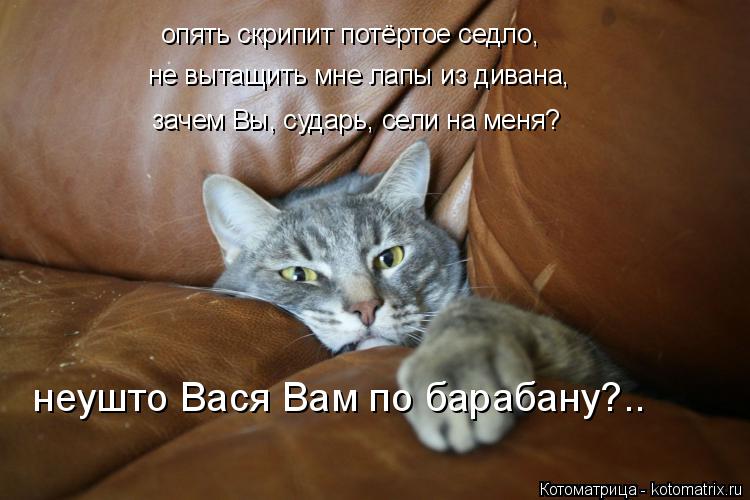 опять скрипит потёртое седло, не вытащить мне лапы из дивана, зачем Вы, сударь, сели на меня? неушто ... Котоматрица: опять скрипит потёртое седло, не вытащить мне лапы из дивана, зачем Вы, сударь, сели на меня? неушто Вася Вам по барабану?..