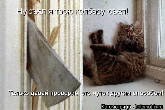 Ну съел я твою колбасу, съел! Только давай проверим это чуток другим способом!... Котоматрица: Ну съел я твою колбасу, съел! Только давай проверим это чуток другим способом!