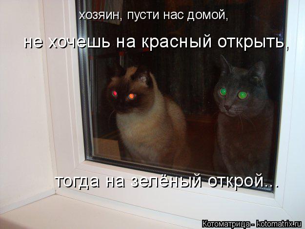 хозяин, пусти нас домой, не хочешь на красный открыть, тогда на зелёный открой...... Котоматрица: хозяин, пусти нас домой, не хочешь на красный открыть, тогда на зелёный открой...