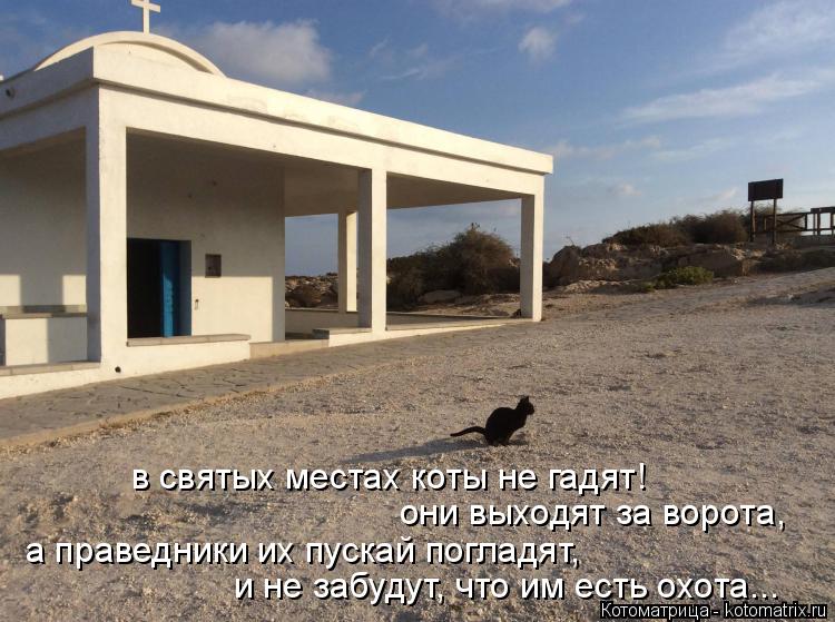в святых местах коты не гадят! они выходят за ворота, а праведники их пускай погладят, и не забудут, ... Котоматрица: в святых местах коты не гадят! они выходят за ворота, а праведники их пускай погладят, и не забудут, что им есть охота...