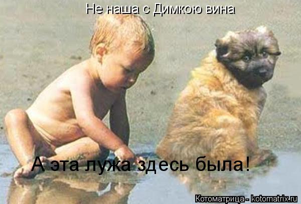 Не наша с Димкою вина А эта лужа здесь была!... Котоматрица: Не наша с Димкою вина А эта лужа здесь была!