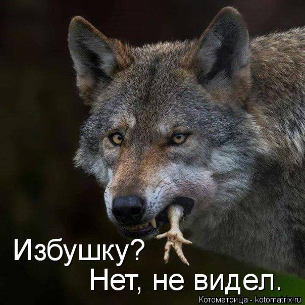 Котоматрица: Избушку?  Нет, не видел.
