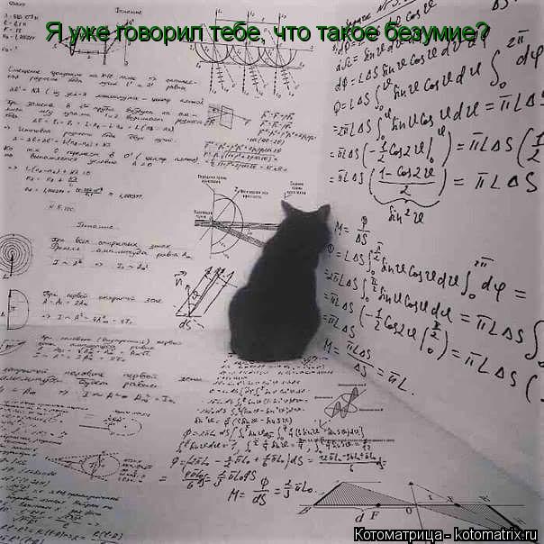 Котоматрица: Я уже говорил тебе, что такое безумие?
