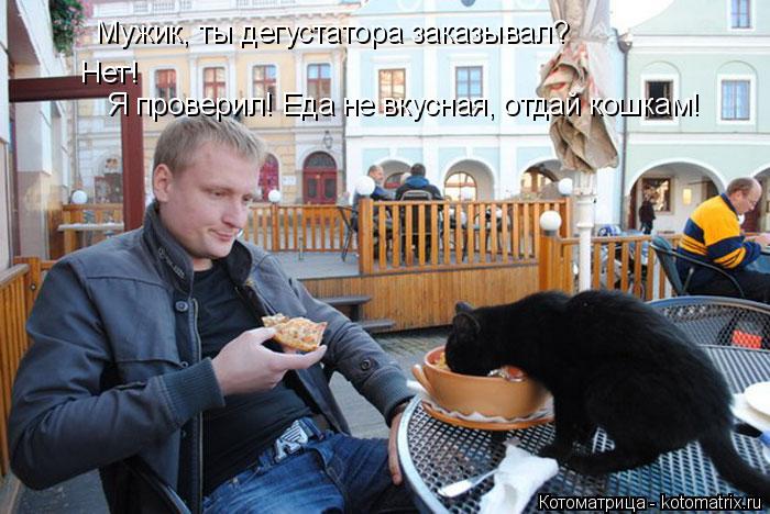 Котоматрица: Мужик, ты дегустатора заказывал? Нет! Я проверил! Еда не вкусная, отдай кошкам!
