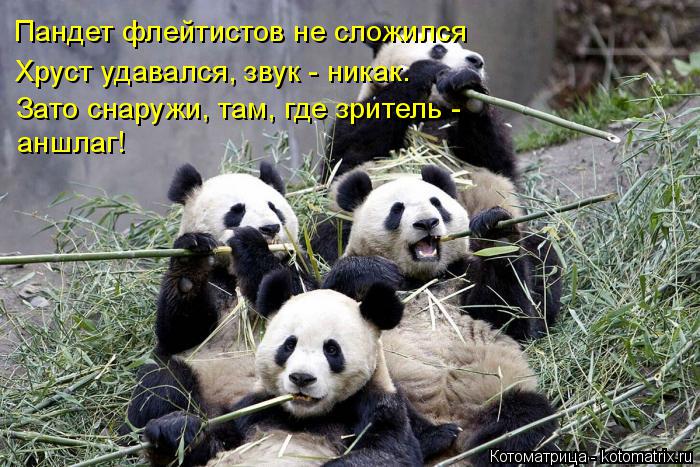 Пандет флейтистов не сложился Хруст удавался, звук - никак. Зато снаружи, там, где зритель - аншлаг!... Котоматрица: Пандет флейтистов не сложился Хруст удавался, звук - никак. Зато снаружи, там, где зритель - аншлаг!