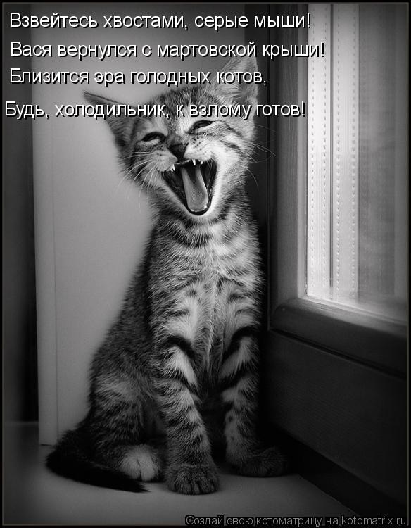 Котоматрица: Взвейтесь хвостами, серые мыши! Вася вернулся с мартовской крыши! Близится эра голодных котов, Будь, холодильник, к взлому готов!