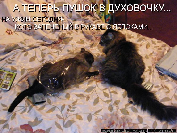 А ТЕПЕРЬ ПУШОК В ДУХОВОЧКУ... НА УЖИН СЕГОДНЯ- КОТЭ ЗАПЕЧЕНЫЙ В РУКАВЕ С ЯБЛОКАМИ...... Котоматрица: А ТЕПЕРЬ ПУШОК В ДУХОВОЧКУ... НА УЖИН СЕГОДНЯ- КОТЭ ЗАПЕЧЕНЫЙ В РУКАВЕ С ЯБЛОКАМИ...