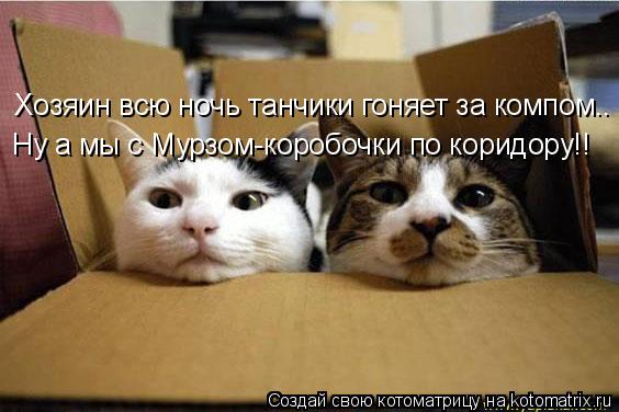 Котоматрица: Хозяин всю ночь танчики гоняет за компом.. Ну а мы с Мурзом-коробочки по коридору!!