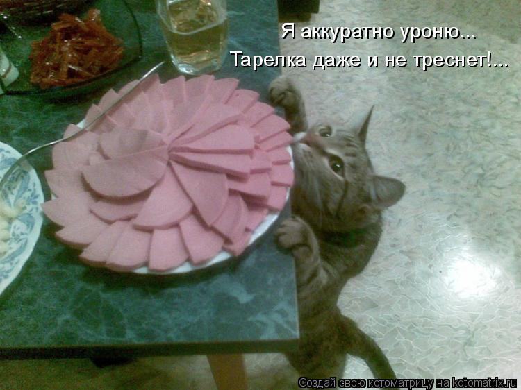 Я аккуратно уроню... Тарелка даже и не треснет!...... Котоматрица: Я аккуратно уроню... Тарелка даже и не треснет!...