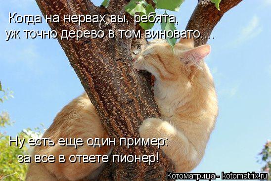 Котоматрица: Когда на нервах вы, ребята, уж точно дерево в том виновато.... Ну есть еще один пример: за все в ответе пионер!