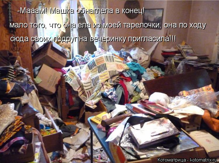 Котоматрица: -Мааам! Машка обнаглела в конец! сюда своих подруг на вечеринку пригласила!!! мало того, что она ела из моей тарелочки, она по ходу