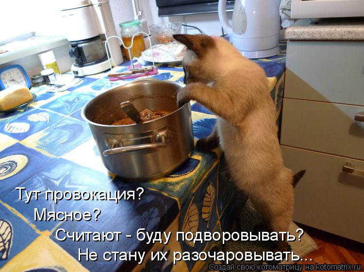 Тут провокация? Мясное? Считают - буду подворовывать? Не стану их разочаровывать...... Котоматрица: Тут провокация? Мясное? Считают - буду подворовывать? Не стану их разочаровывать...