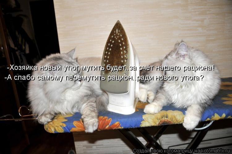 Котоматрица: -Хозяйка новый утюг мутить будет..за счёт нашего рациона! -А слабо самому перемутить рацион..ради нового утюга?