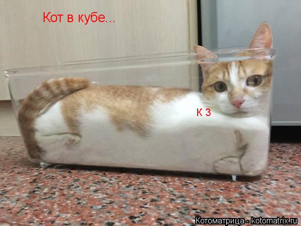 Котоматрица: Кот в кубе... К 3
