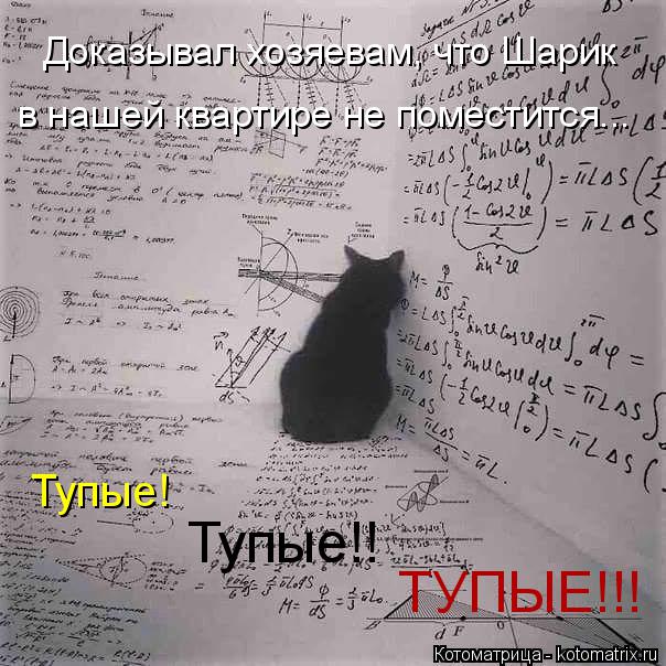 Котоматрица: Доказывал хозяевам, что Шарик  в нашей квартире не поместится...  Тупые! ТУПЫЕ!!! Тупые!!