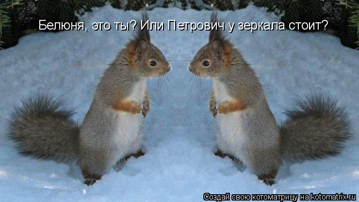 Белюня, это ты? Или Петрович у зеркала стоит?... Котоматрица: Белюня, это ты? Или Петрович у зеркала стоит?