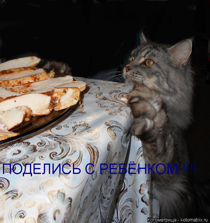 ПОДЕЛИСЬ С РЕБЁНКОМ !!!!... Котоматрица: ПОДЕЛИСЬ С РЕБЁНКОМ !!!!