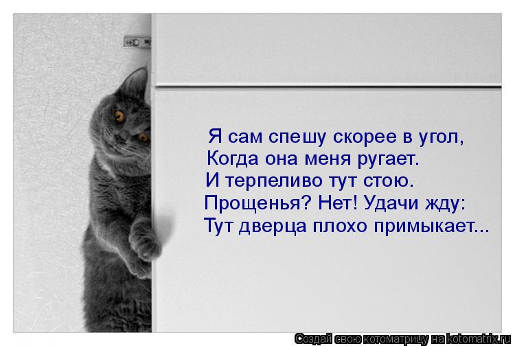 Я сам спешу скорее в угол, Когда она меня ругает. И терпеливо тут стою. Прощенья? Нет! Удачи жду: Тут... Котоматрица: Я сам спешу скорее в угол, Когда она меня ругает. И терпеливо тут стою. Прощенья? Нет! Удачи жду: Тут дверца плохо примыкает...