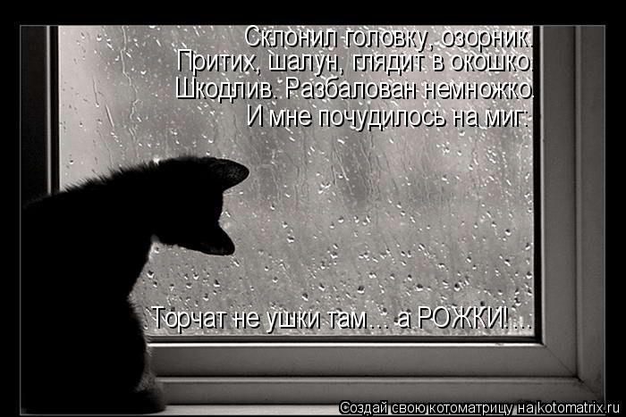 Склонил головку, озорник. Притих, шалун, глядит в окошко. Шкодлив. Разбалован немножко. Торчат не ушк... Котоматрица: Склонил головку, озорник. Притих, шалун, глядит в окошко. Шкодлив. Разбалован немножко. Торчат не ушки там… а РОЖКИ!… И мне почудилось на миг