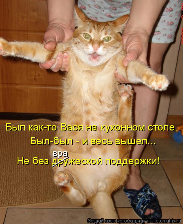 Был как-то Вася на кухонном столе. Был-был - и весь вышел... Не без дружеской поддержки! ------ вра... Котоматрица: Был как-то Вася на кухонном столе. Был-был - и весь вышел... Не без дружеской поддержки! ------ вра