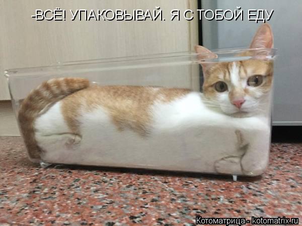 -ВСЁ! УПАКОВЫВАЙ. Я С ТОБОЙ ЕДУ -ВСЁ! УПАКОВЫВАЙ. Я С ТОБОЙ ЕДУ... Котоматрица: -ВСЁ! УПАКОВЫВАЙ. Я С ТОБОЙ ЕДУ -ВСЁ! УПАКОВЫВАЙ. Я С ТОБОЙ ЕДУ