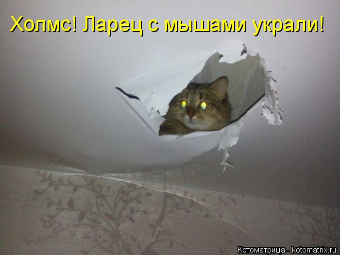 Холмс! Ларец с мышами украли!... Котоматрица: Холмс! Ларец с мышами украли!
