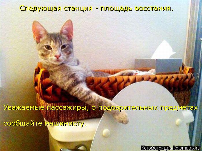 Следующая станция - площадь восстания. сообщайте машинисту. Уважаемые пассажиры, о подозрительных пре... Котоматрица: Следующая станция - площадь восстания. сообщайте машинисту. Уважаемые пассажиры, о подозрительных предметах