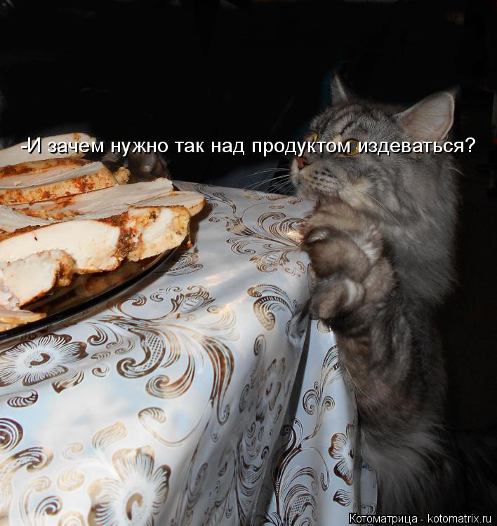 -И зачем нужно так над продуктом издеваться?... Котоматрица: -И зачем нужно так над продуктом издеваться?