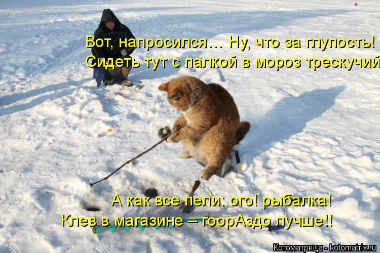 Вот, напросился… Ну, что за глупость! Сидеть тут с палкой в мороз трескучий. А как все пели: ого! рыб... Котоматрица: Вот, напросился… Ну, что за глупость! Сидеть тут с палкой в мороз трескучий. А как все пели: ого! рыбалка! Клев в магазине – гоорАздо лучше!!