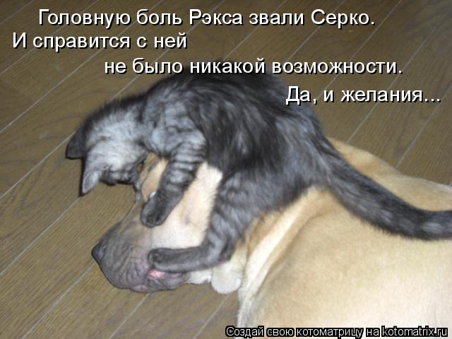 Головную боль Рэкса звали Серко. И справится с ней не было никакой возможности. Да, и желания...... Котоматрица: Головную боль Рэкса звали Серко. И справится с ней не было никакой возможности. Да, и желания...