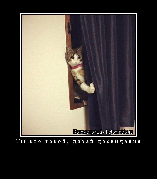 Ты кто такой, давай досвидания ... Котоматрица: Ты кто такой, давай досвидания