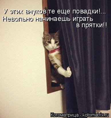 У этих внуков те еще повадки!... Невольно начинаешь играть в прятки!!... Котоматрица: У этих внуков те еще повадки!... Невольно начинаешь играть в прятки!!