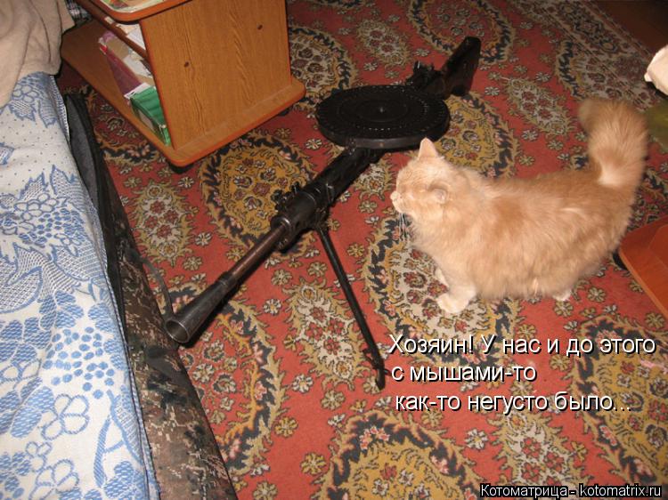 Котоматрица: Хозяин! У нас и до этого с мышами-то как-то негусто было...