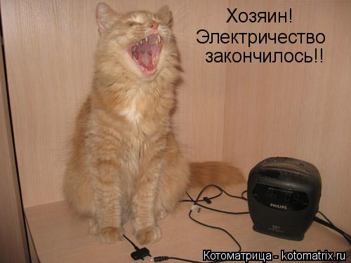 Хозяин! Электричество закончилось!!... Котоматрица: Хозяин! Электричество закончилось!!