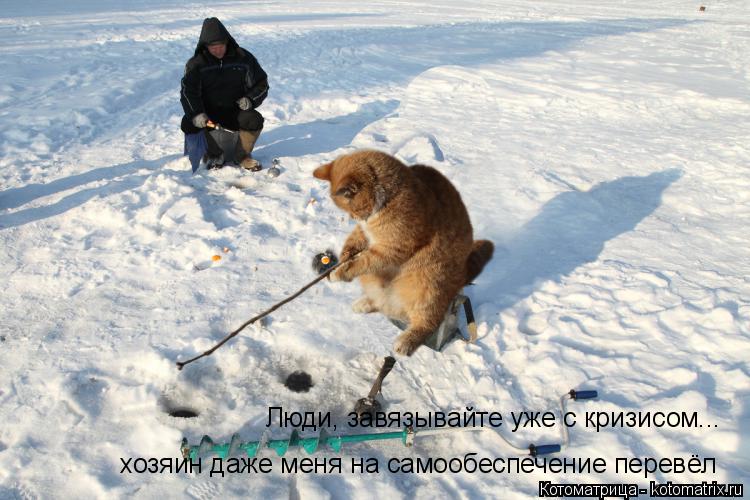 Люди, завязывайте уже с кризисом... хозяин даже меня на самообеспечение перевёл... Котоматрица: Люди, завязывайте уже с кризисом... хозяин даже меня на самообеспечение перевёл