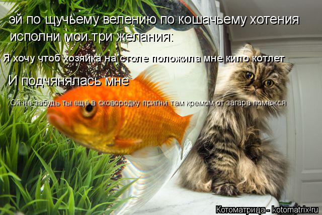 эй по щучьему велению по кошачьему хотения исполни мои три желания: Я хочу чтоб хозяйка на столе поло... Котоматрица: эй по щучьему велению по кошачьему хотения исполни мои три желания: Я хочу чтоб хозяйка на столе положила мне кило котлет И подчянялась мне